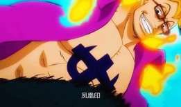 航海王小马哥爆料视频下载,独家爆料视频下载全攻略